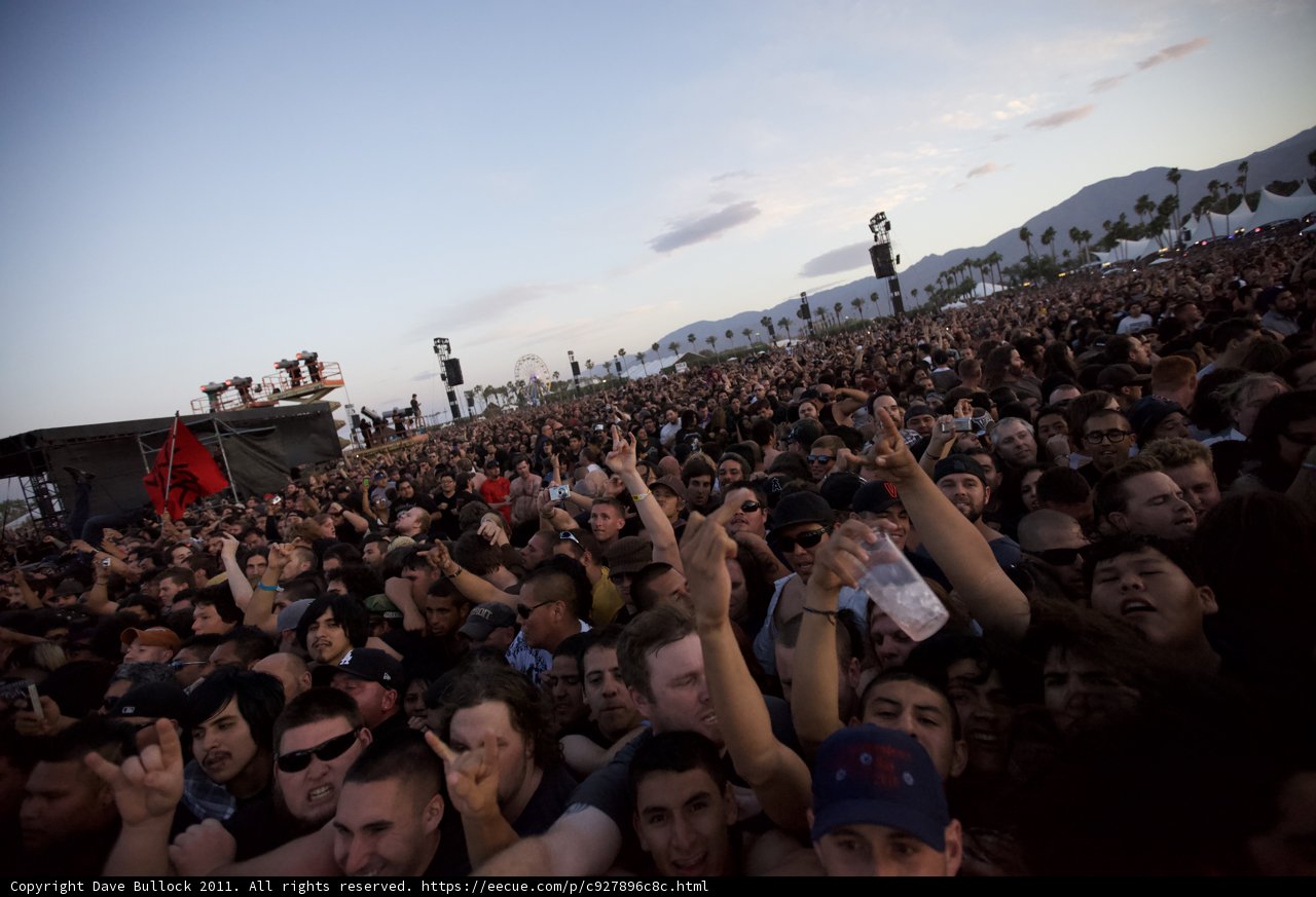 A Sea of Hands