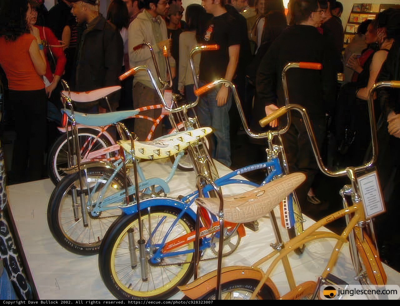 Bicycles Galore