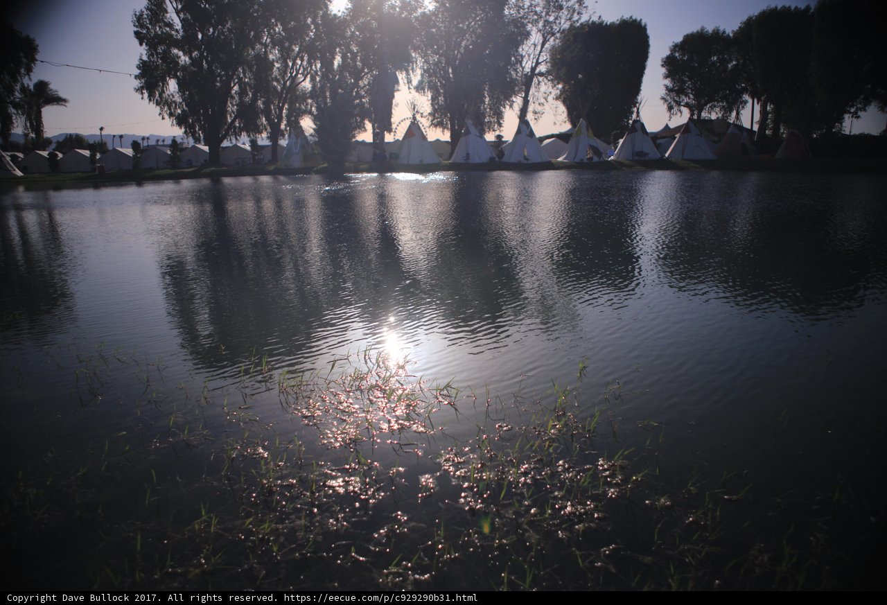 Serene Lake View