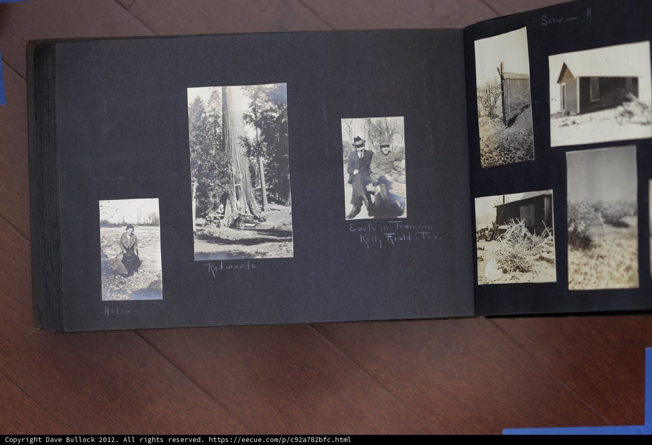 Collage of People and Animals on Book