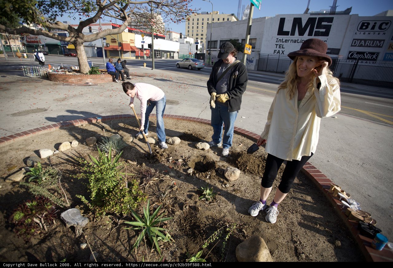 Guerilla Gardeners Take to the Street