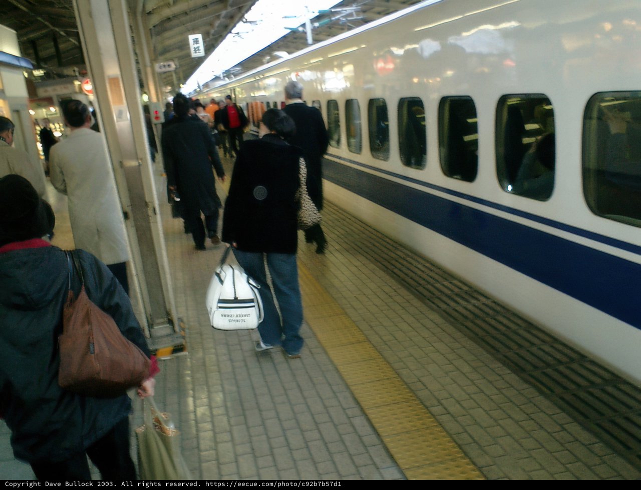 Parked Bullet Train at Shinjuku Station