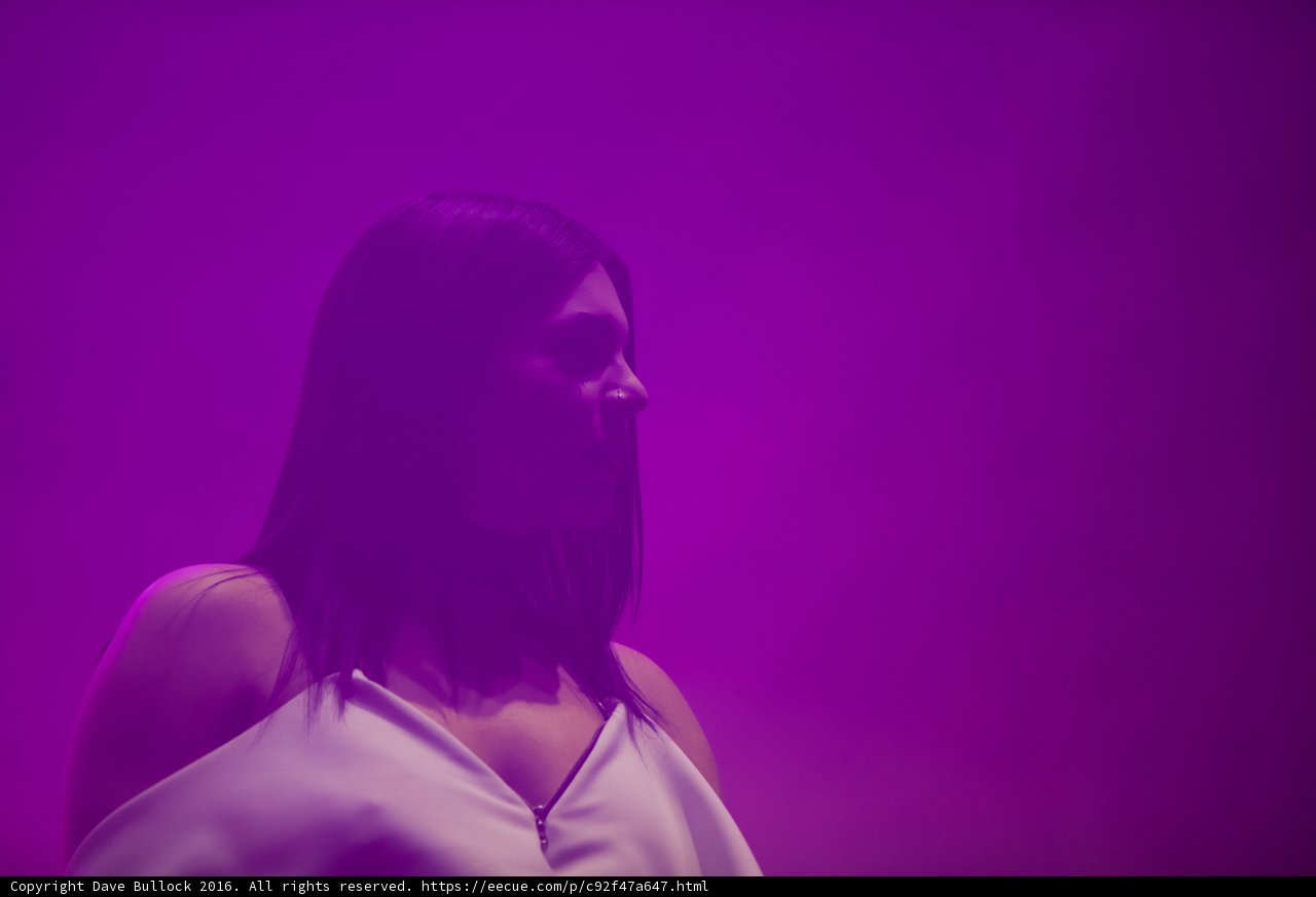 Radiant in Purple