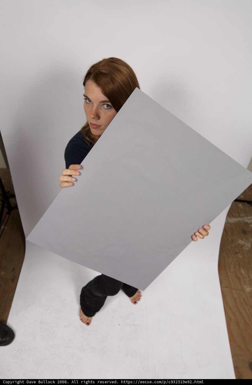 Standing Strong Caption: A woman holds a large plywood board, confident and determined.