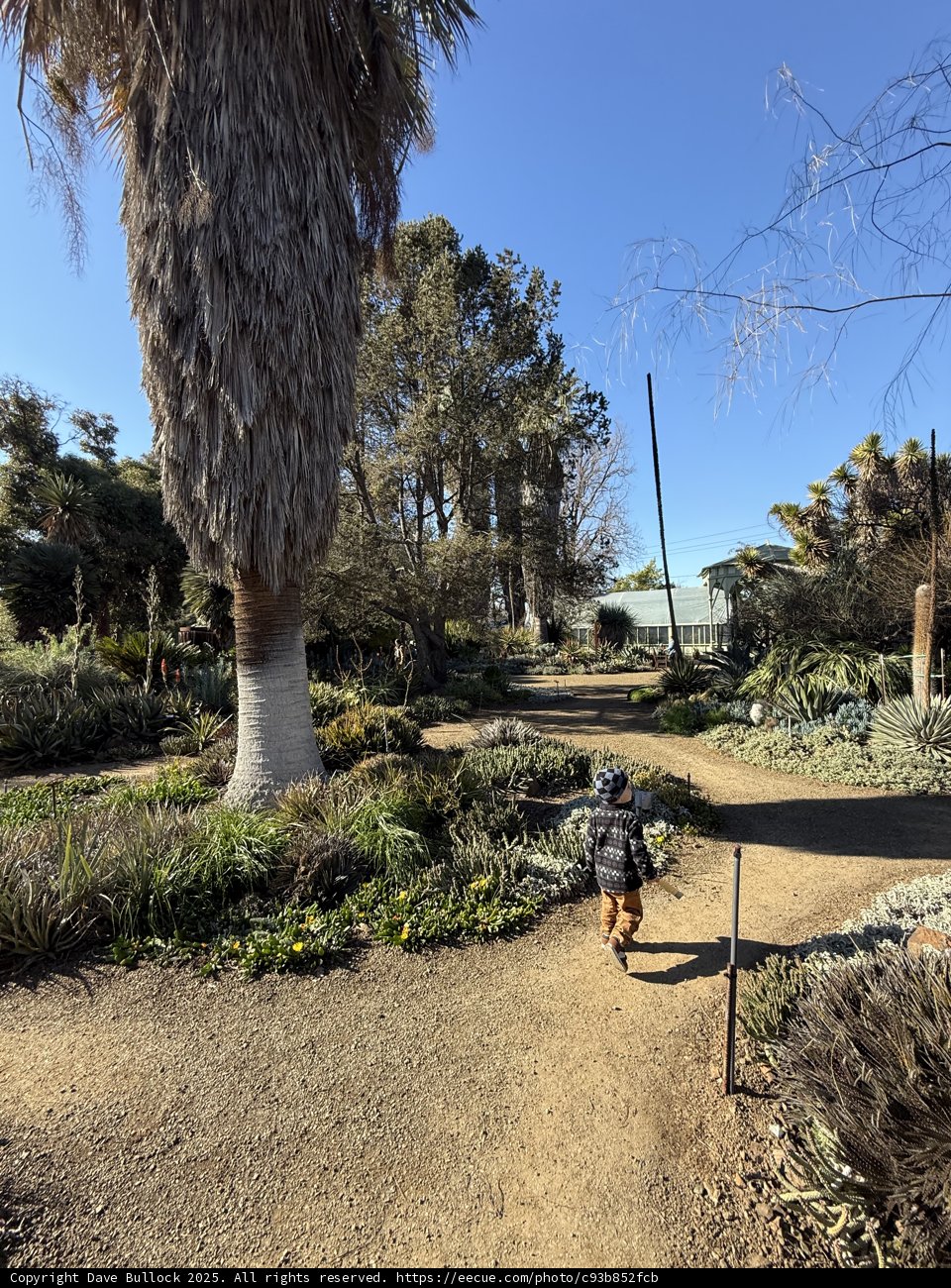 A Stroll Through Nature's Canvas
