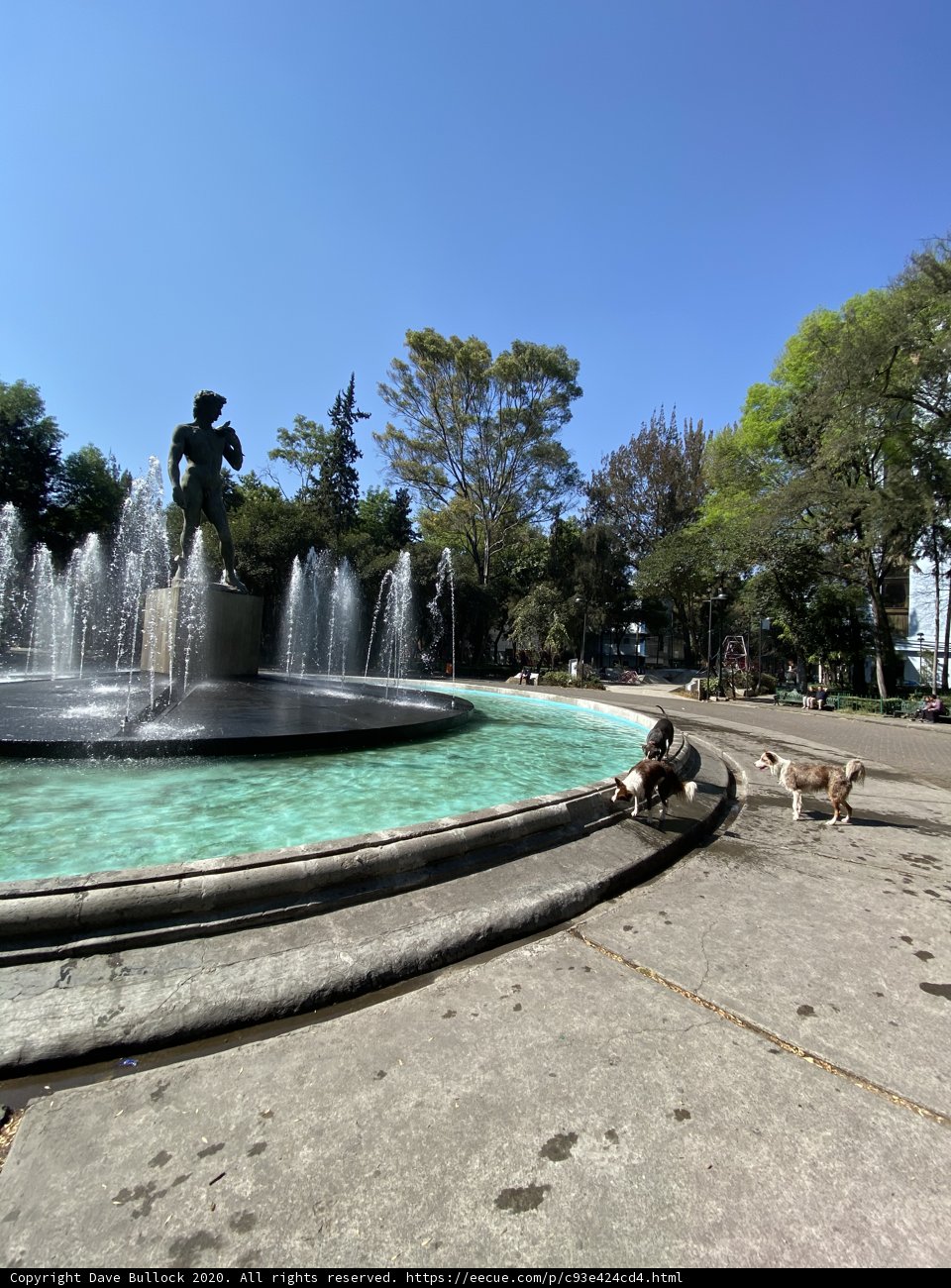 Furry Friend at the Majestic Fountain
