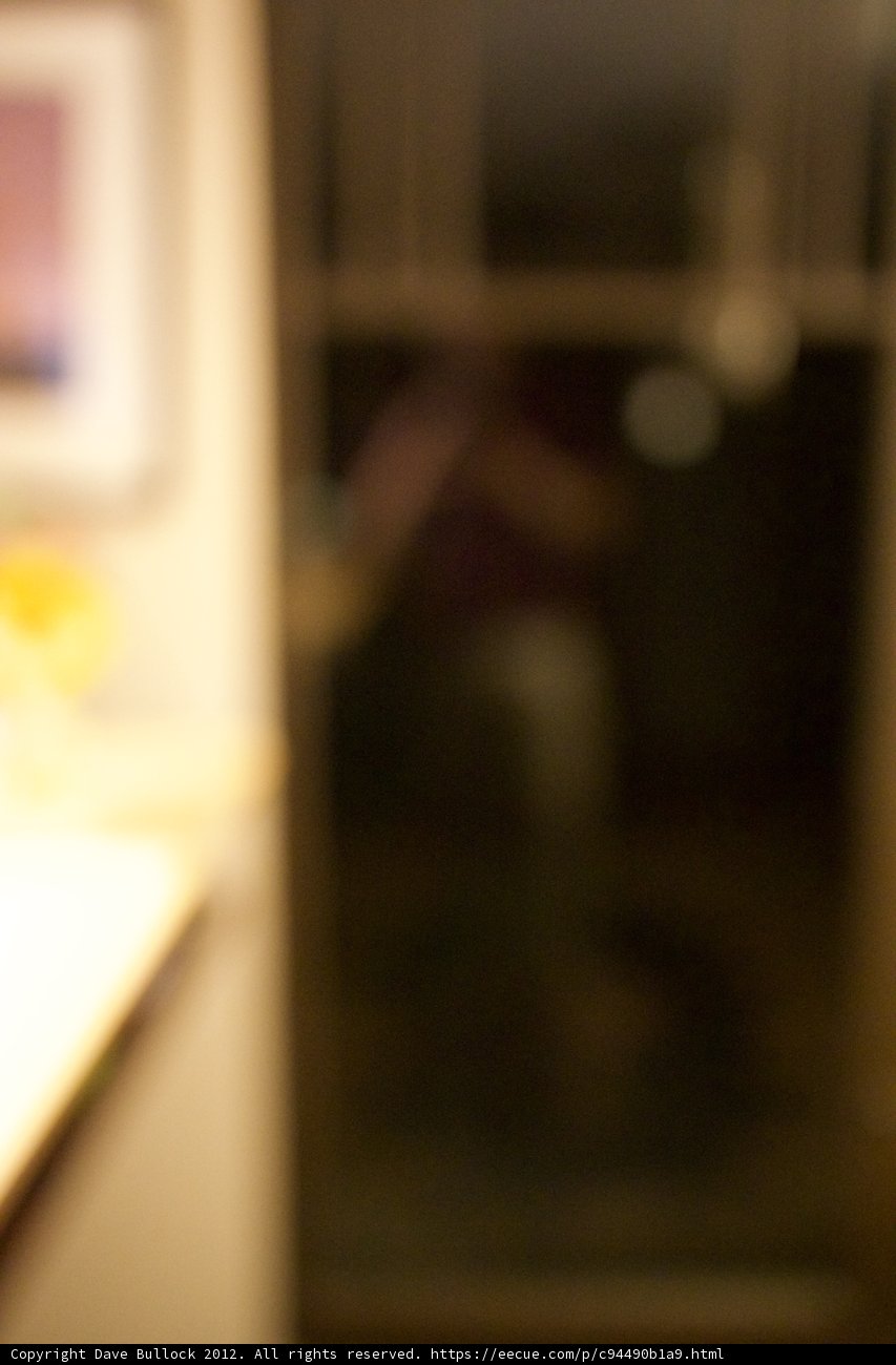 Fuzzy Refrigerator Encounter