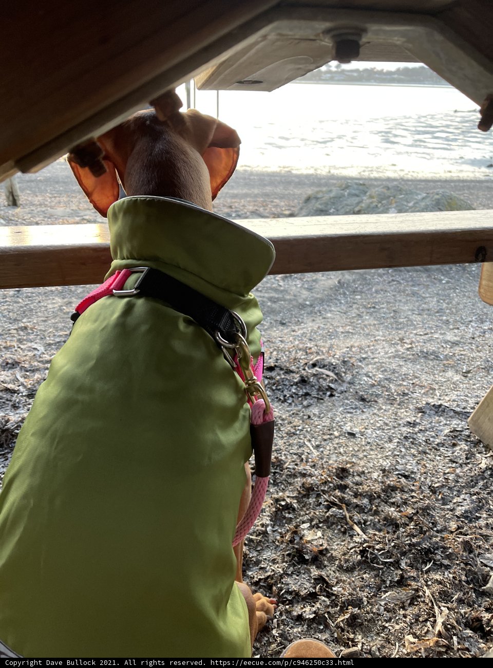 Shelter from the Shoreline