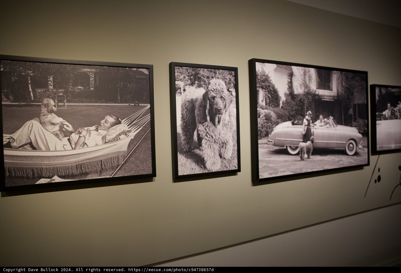 The Echoes of Past Faces: A Monochromatic Perspective