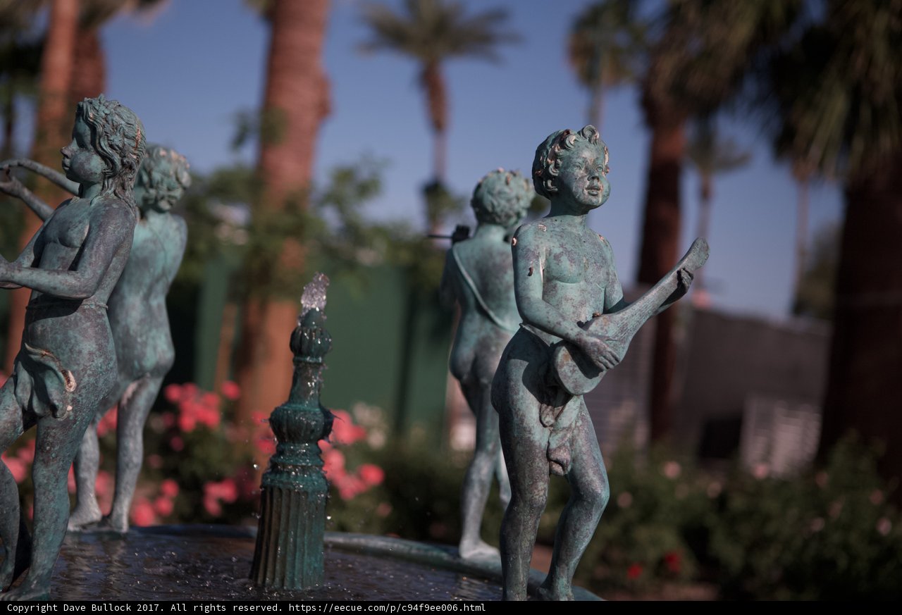 Child's Play in the Palm Trees