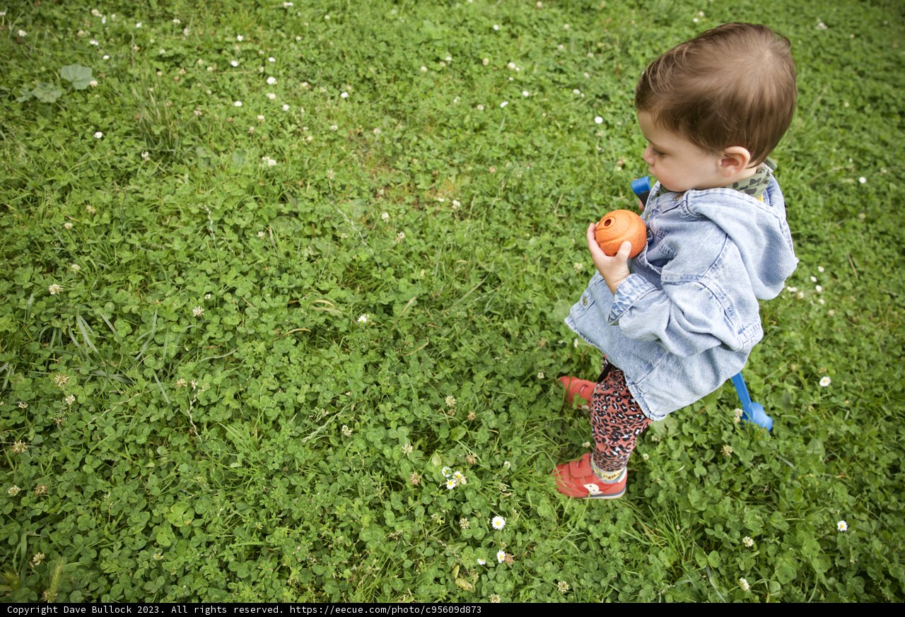 A Joy of Simple Pleasures: Wesley's 5th Birthday