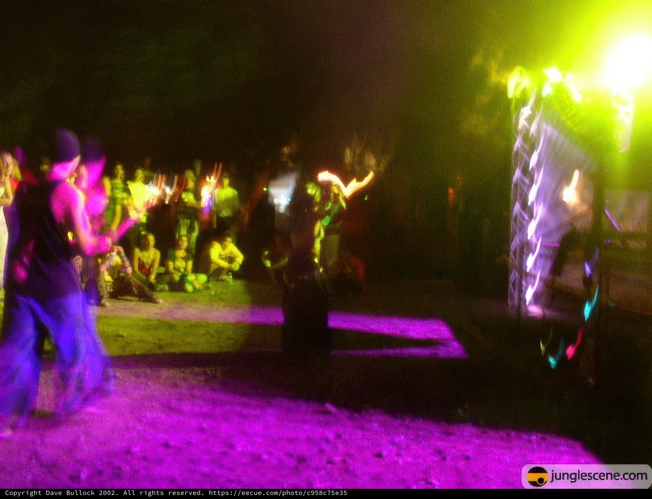 Night Club Festival Fun
