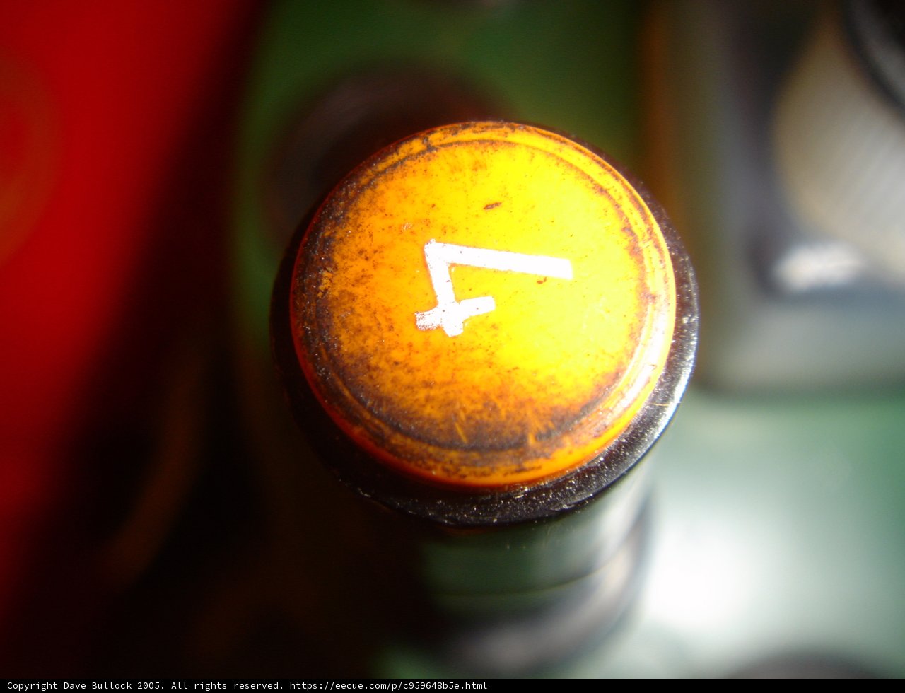 The Yellow and White Button