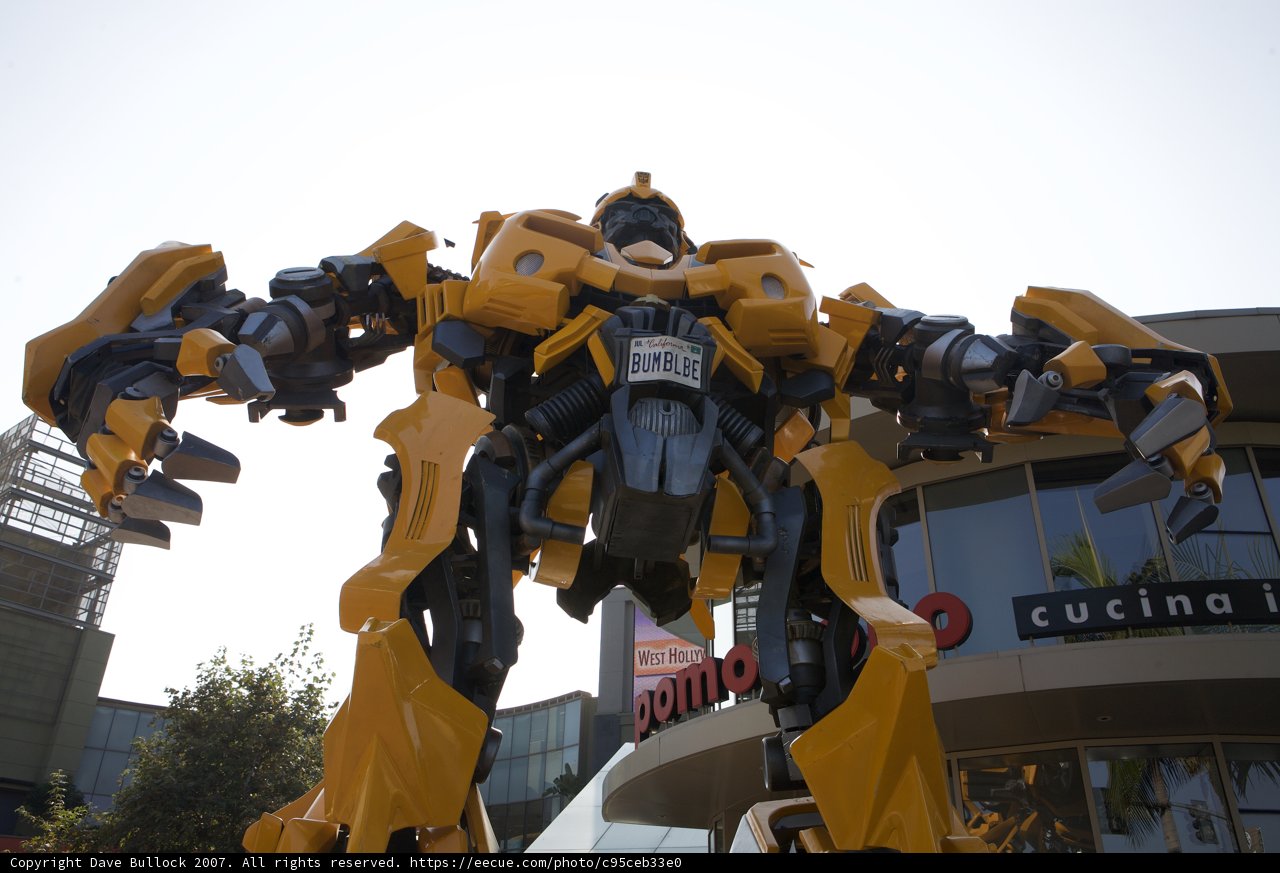 Bumblebee Bot
