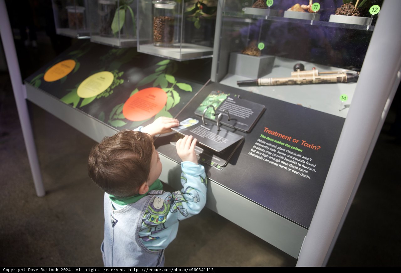 Exploring Biodiversity at the California Academy of Sciences