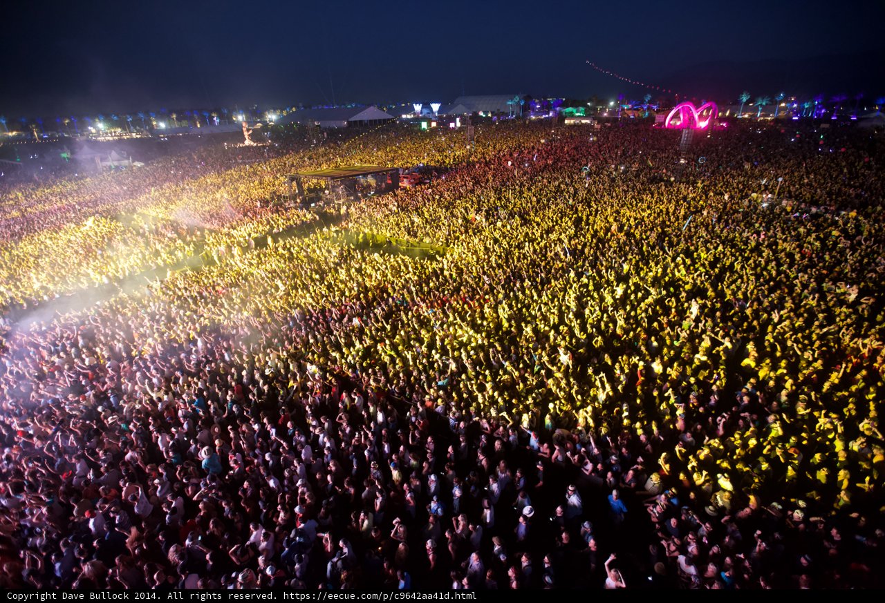 A Sea of Music Lovers