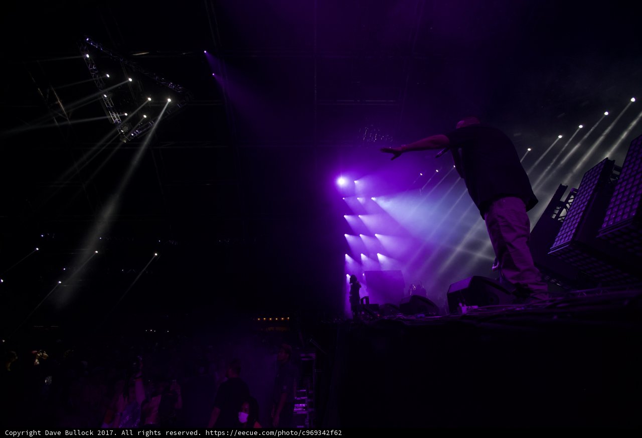 Purple Haze