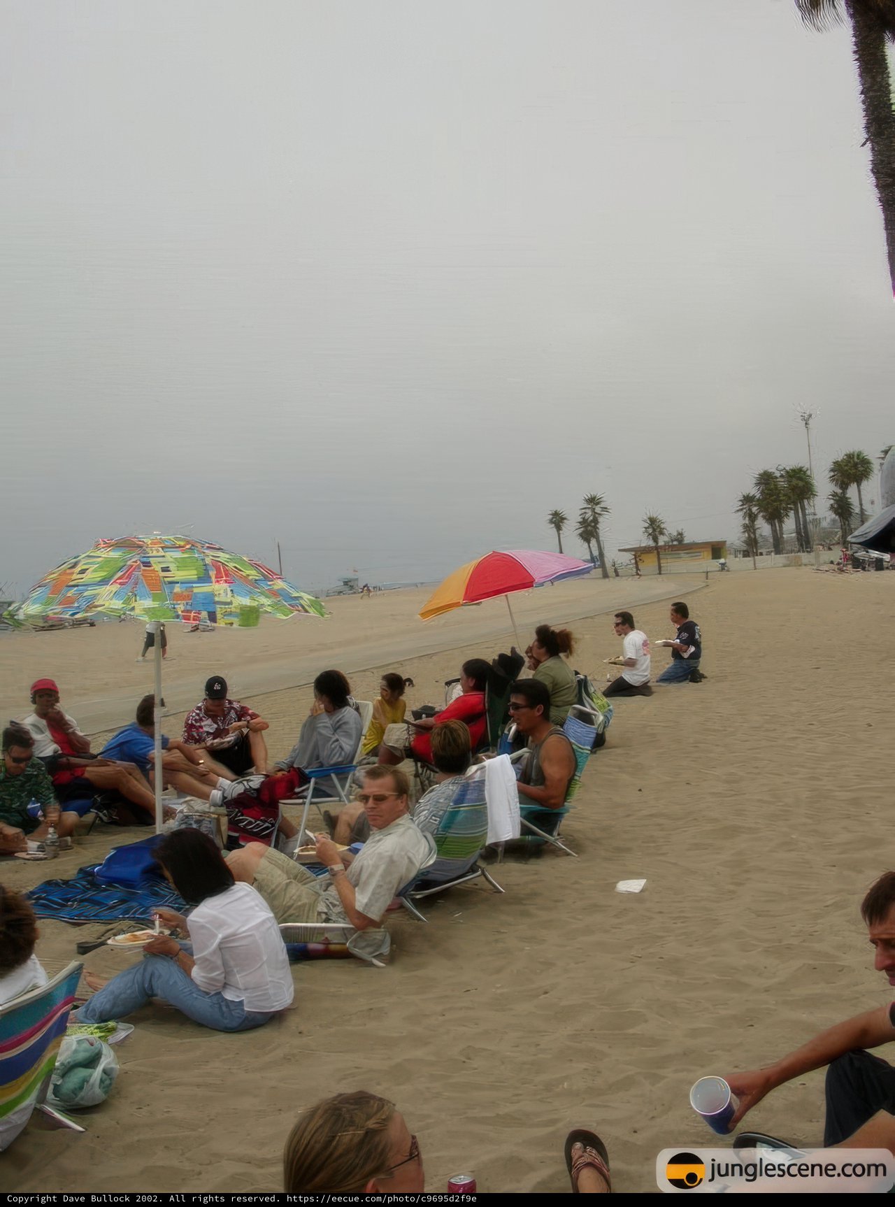 Fun in the Sun: A Summer Day at the Beach