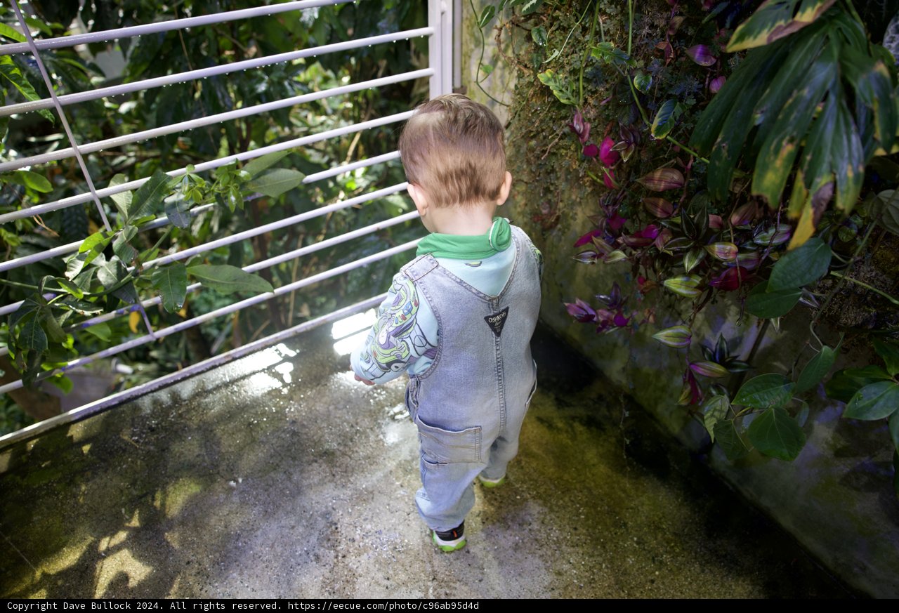 A Moment in the Garden