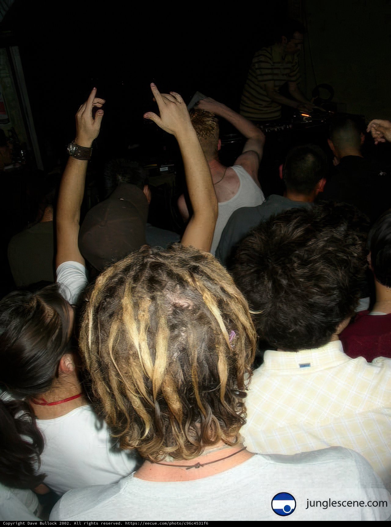 Partygoers with Raised Hands