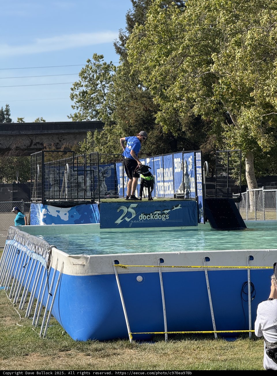 Leaping into Summer Fun