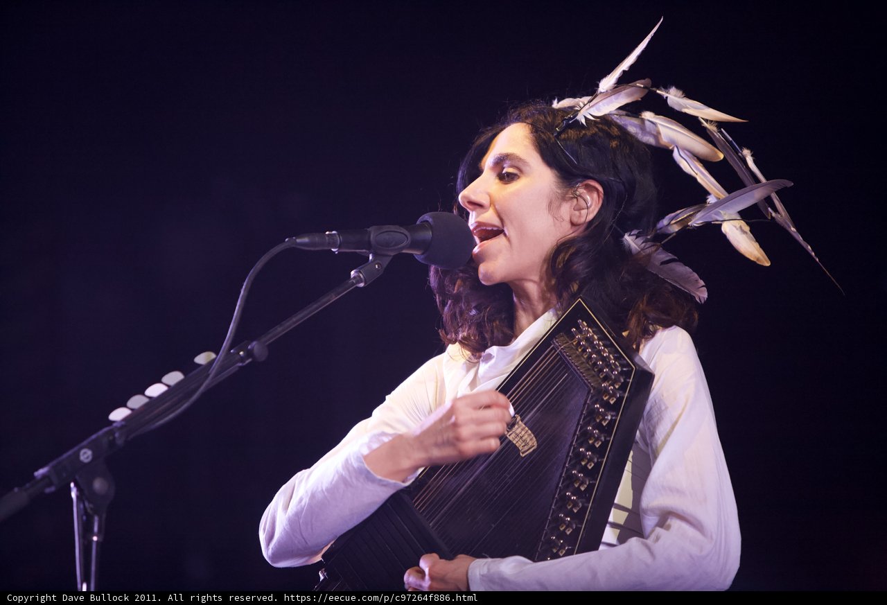 Feathered Singer