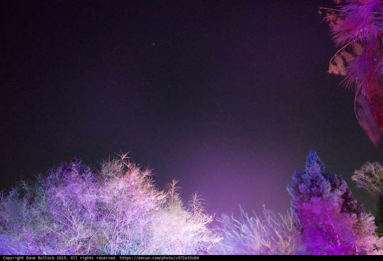 Enchanted Night in Purple Hues