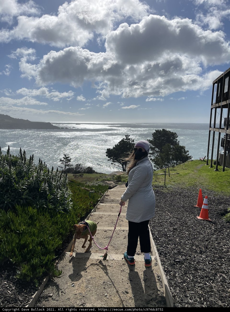 Walking with My Best Friend
