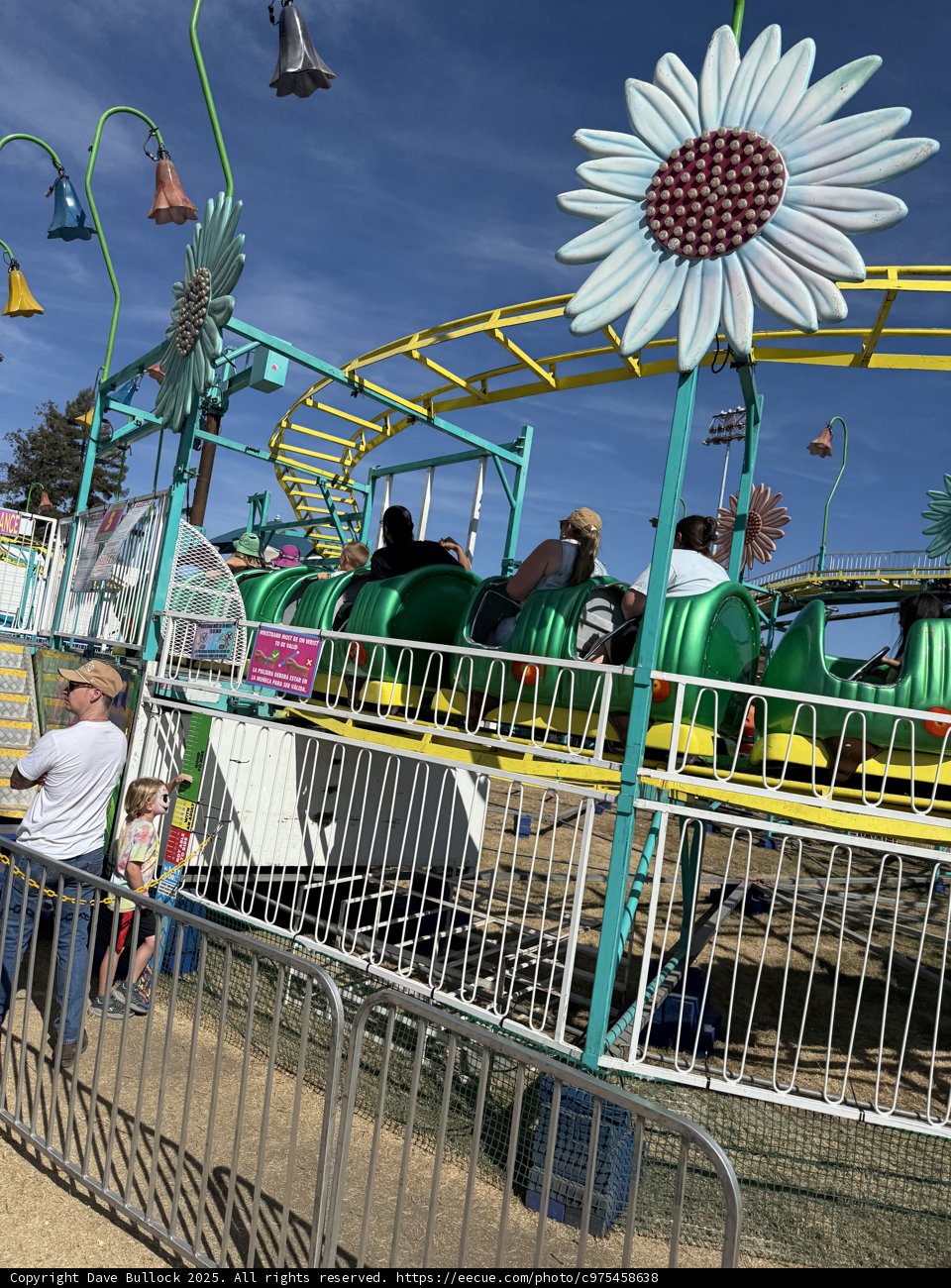 Whimsical Rides in Santa Rosa