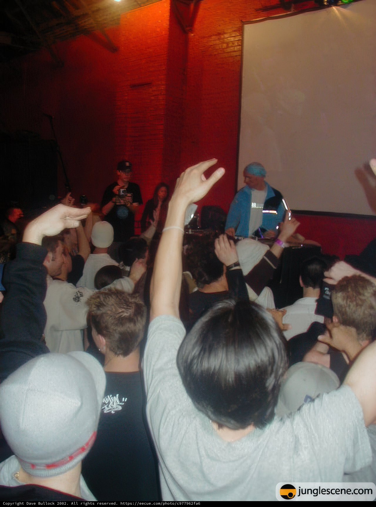 Hands Up in the Crowd