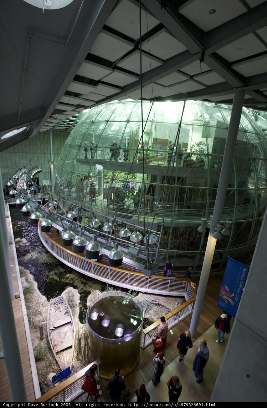 Walking inside the Glass Dome