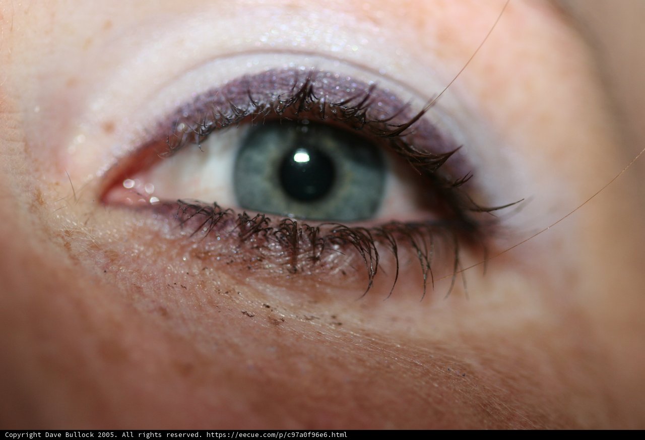 Blue-Eyed Beauty