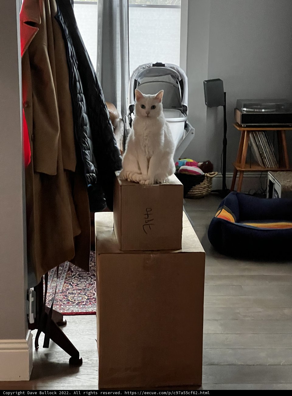 The King of His Castle