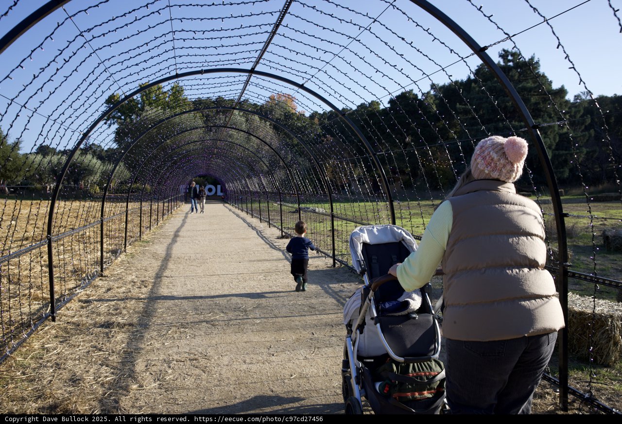 Strolling Through Serenity at Thistlewyck