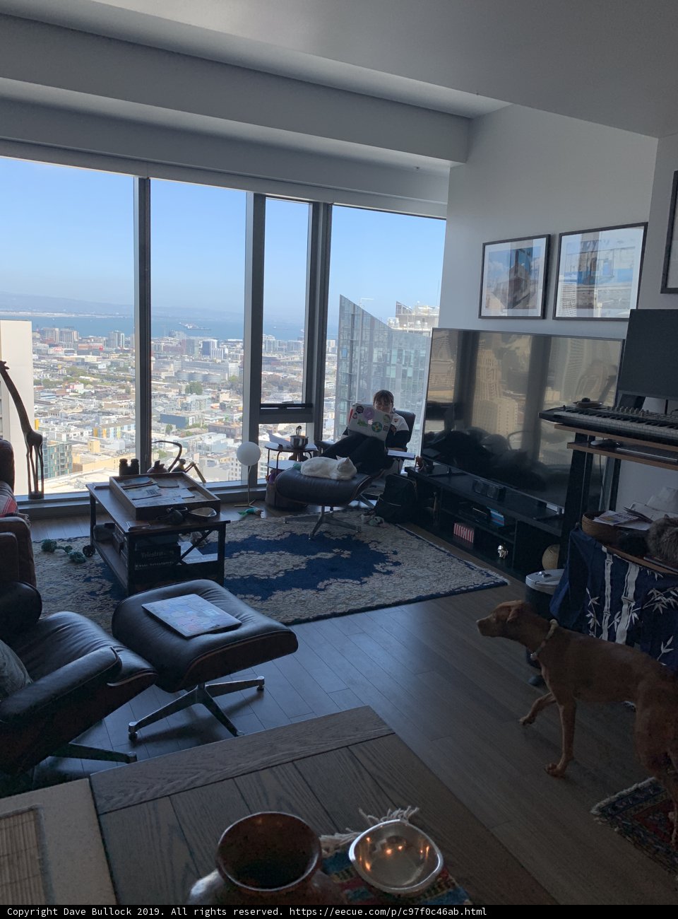 A Cozy Living Room Companion