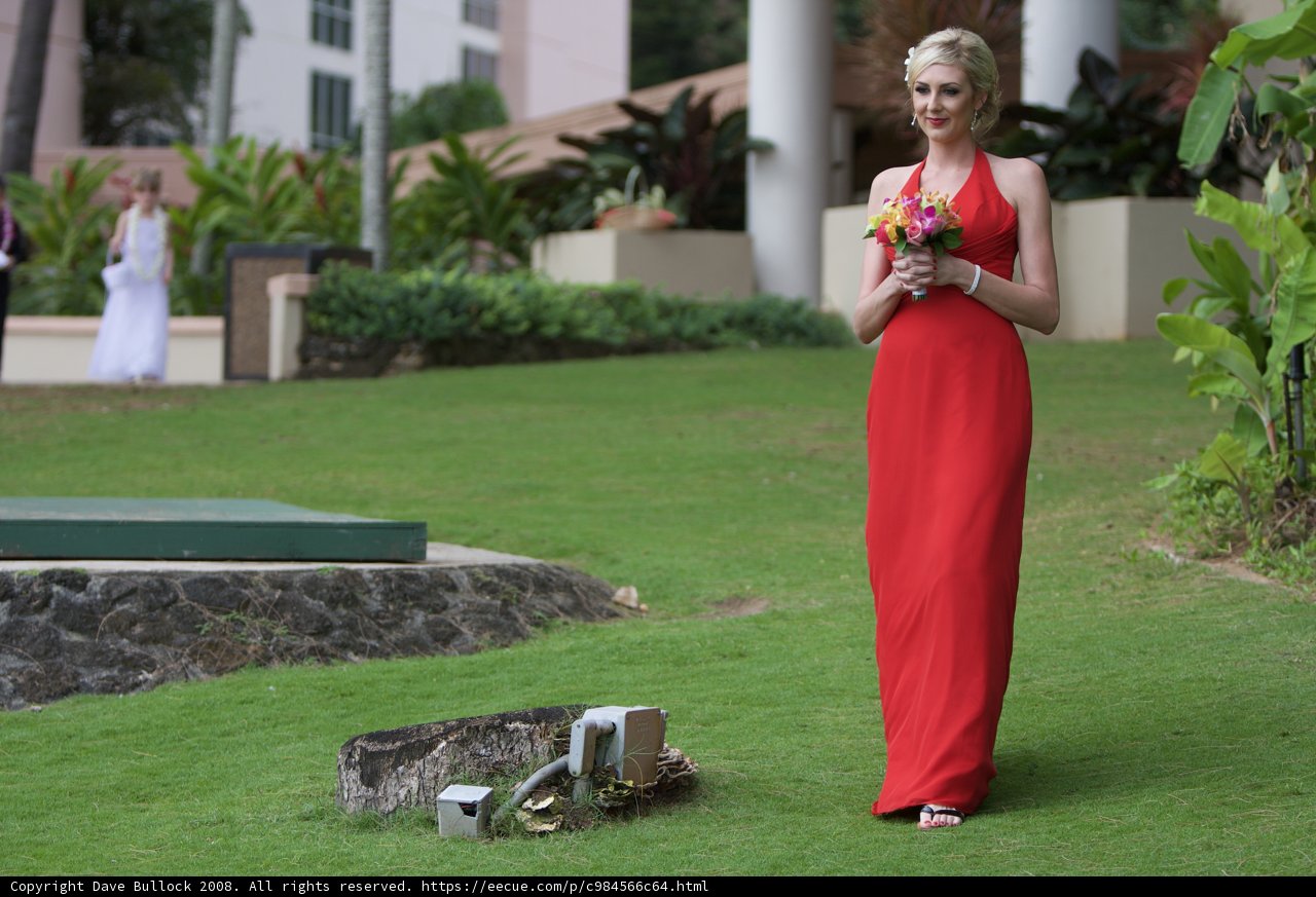 Red Dress Elegance