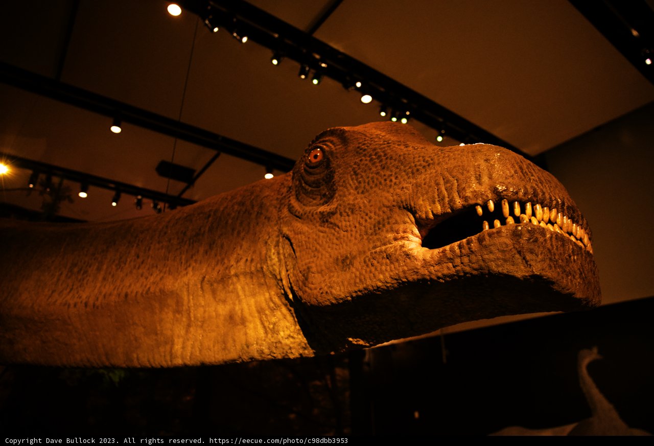 Roaring Through Time at California Academy of Sciences
