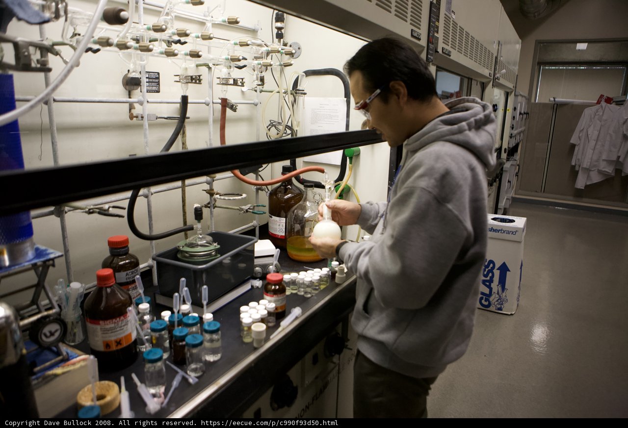 The Scientist's Experiment