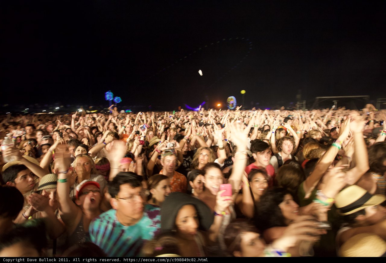 Coachella Nights