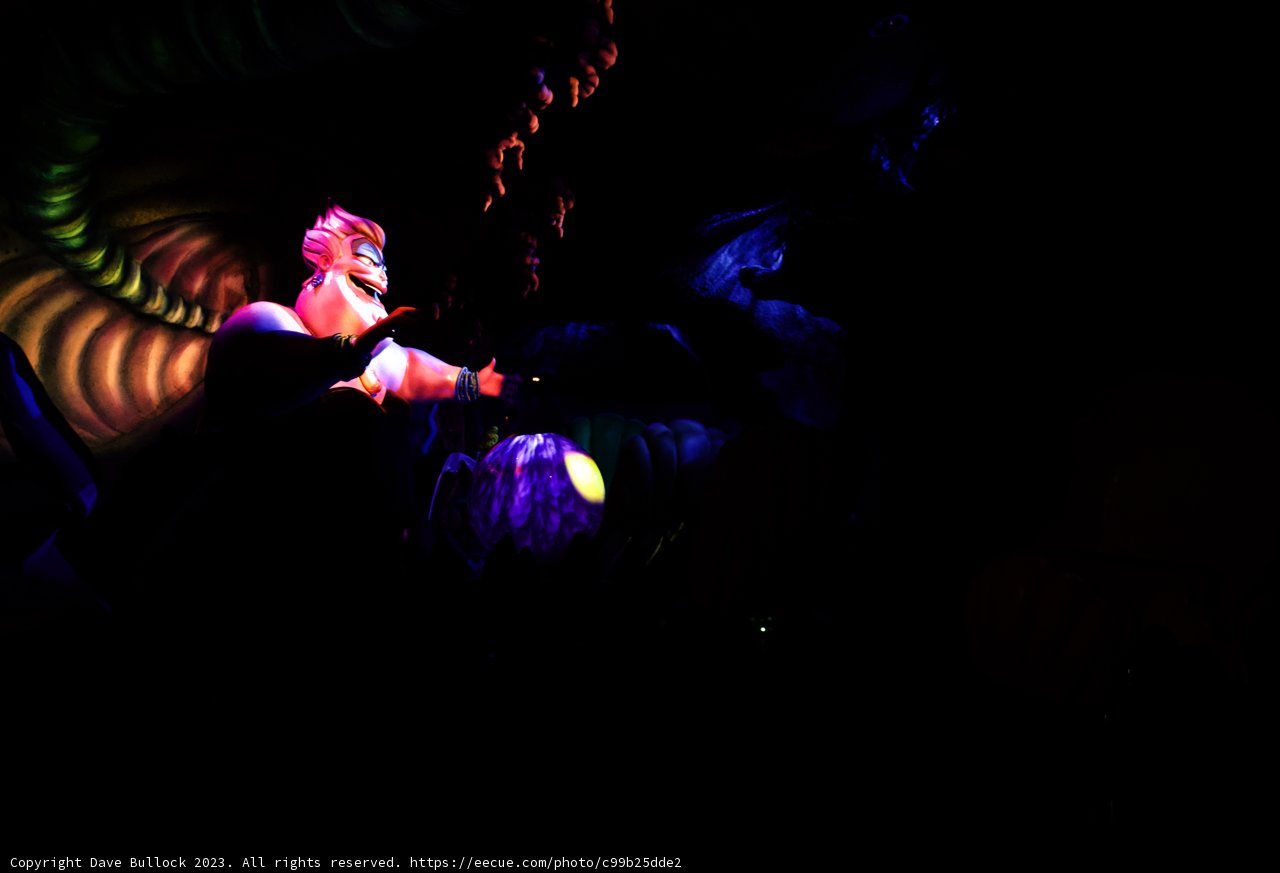 Magical Night at Disneyland