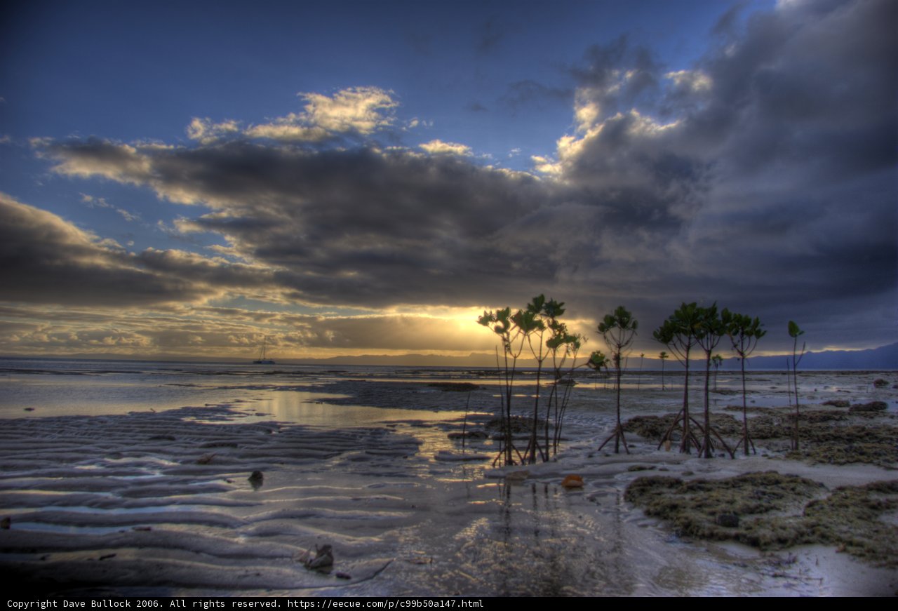 A Tropical Paradise on the Horizon