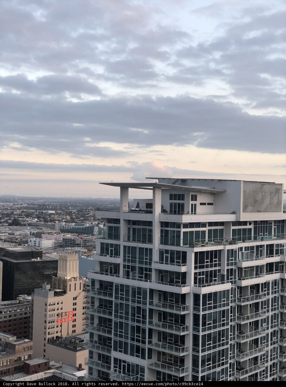 Bird's Eye View of the Metropolis