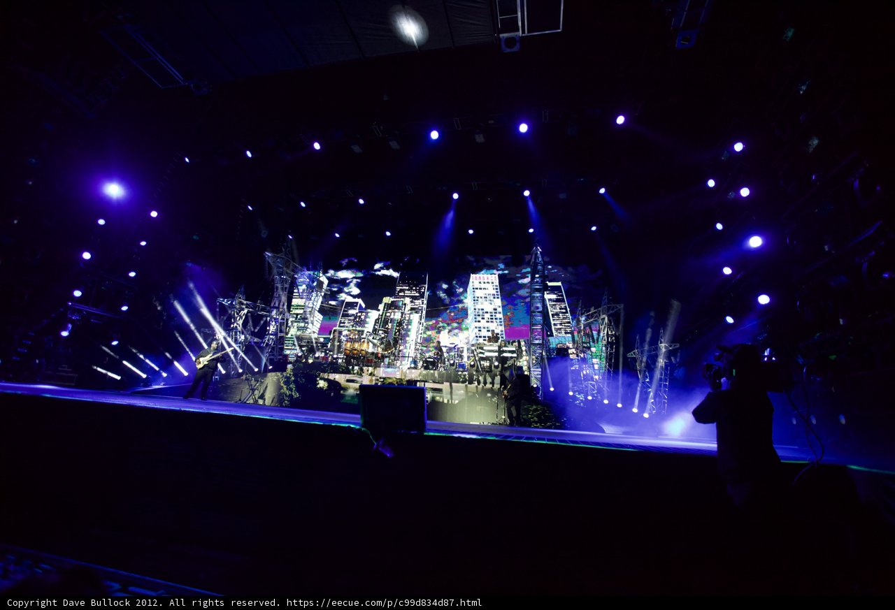Rocking Under Purple Lights