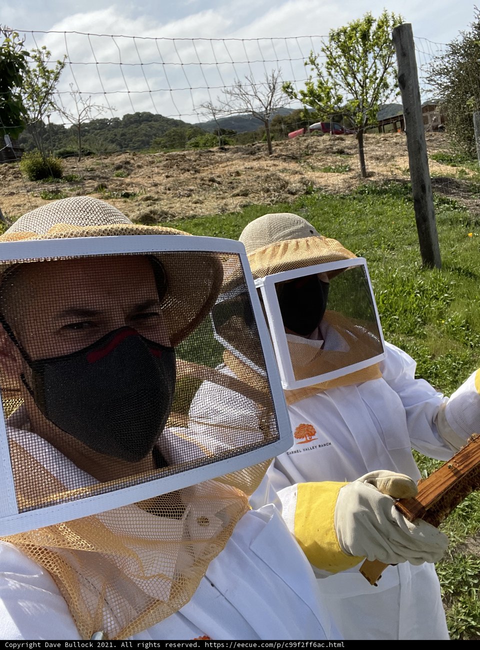 Beekeepers at Work