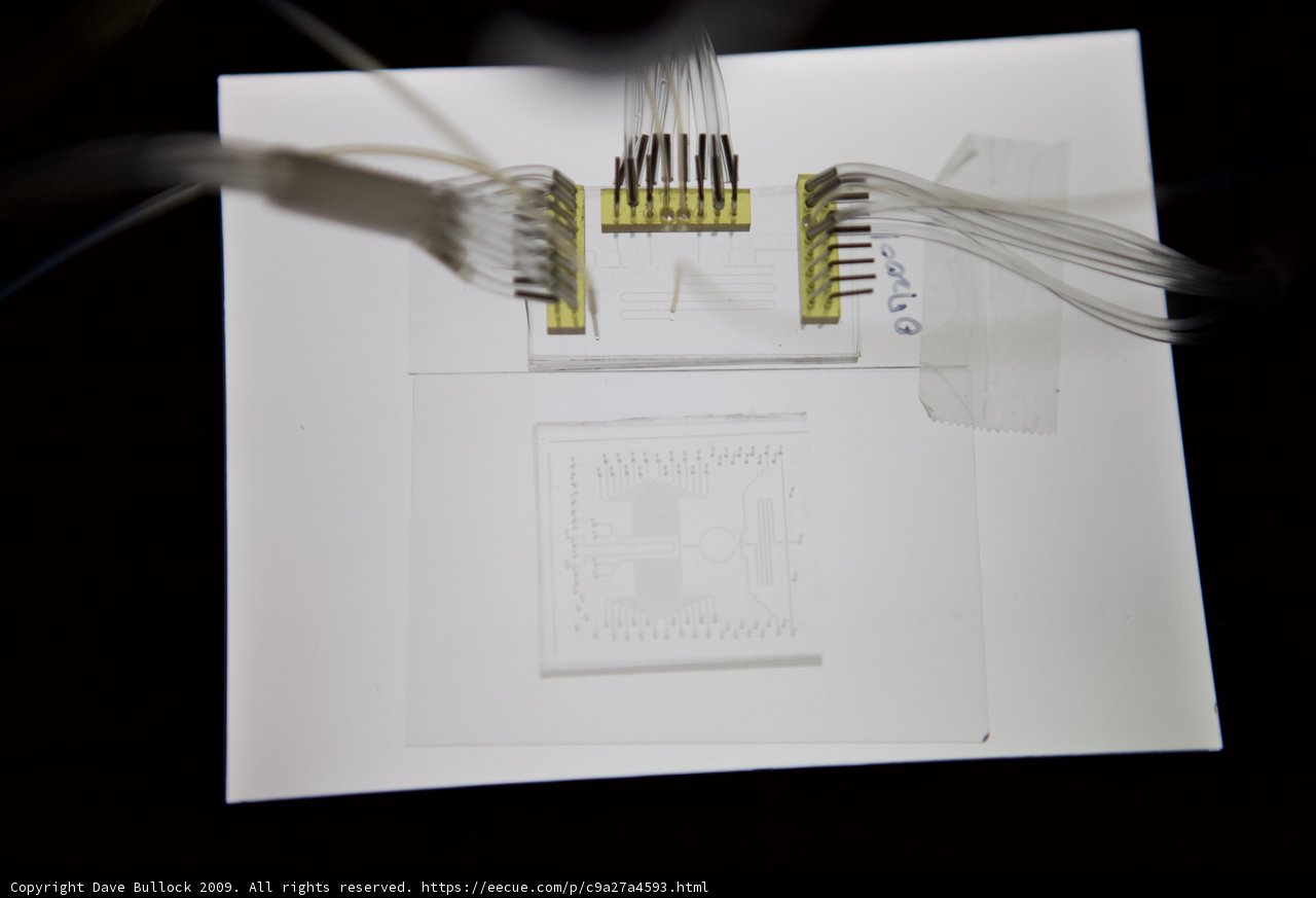 The Intricate World of Micro Bio Chips