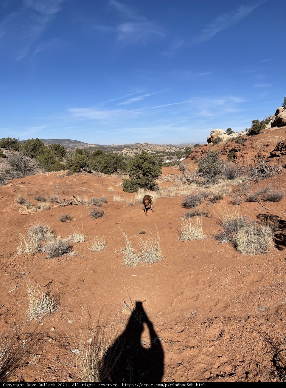 Solitude in the Desert