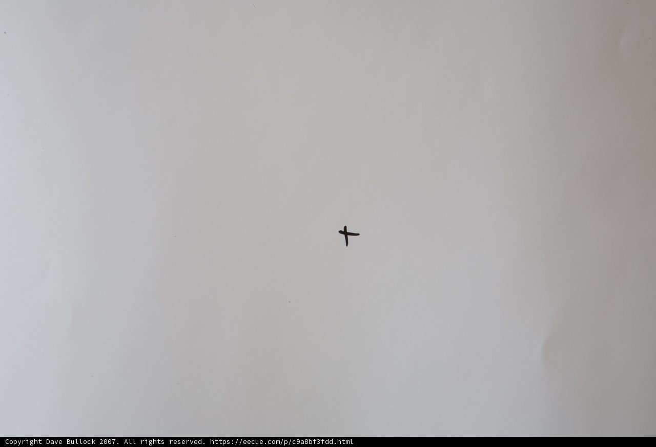 A Bird in the Sky