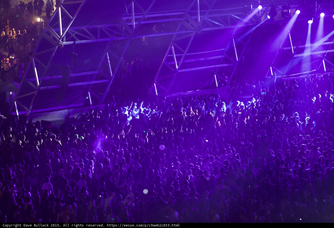 Purple Haze