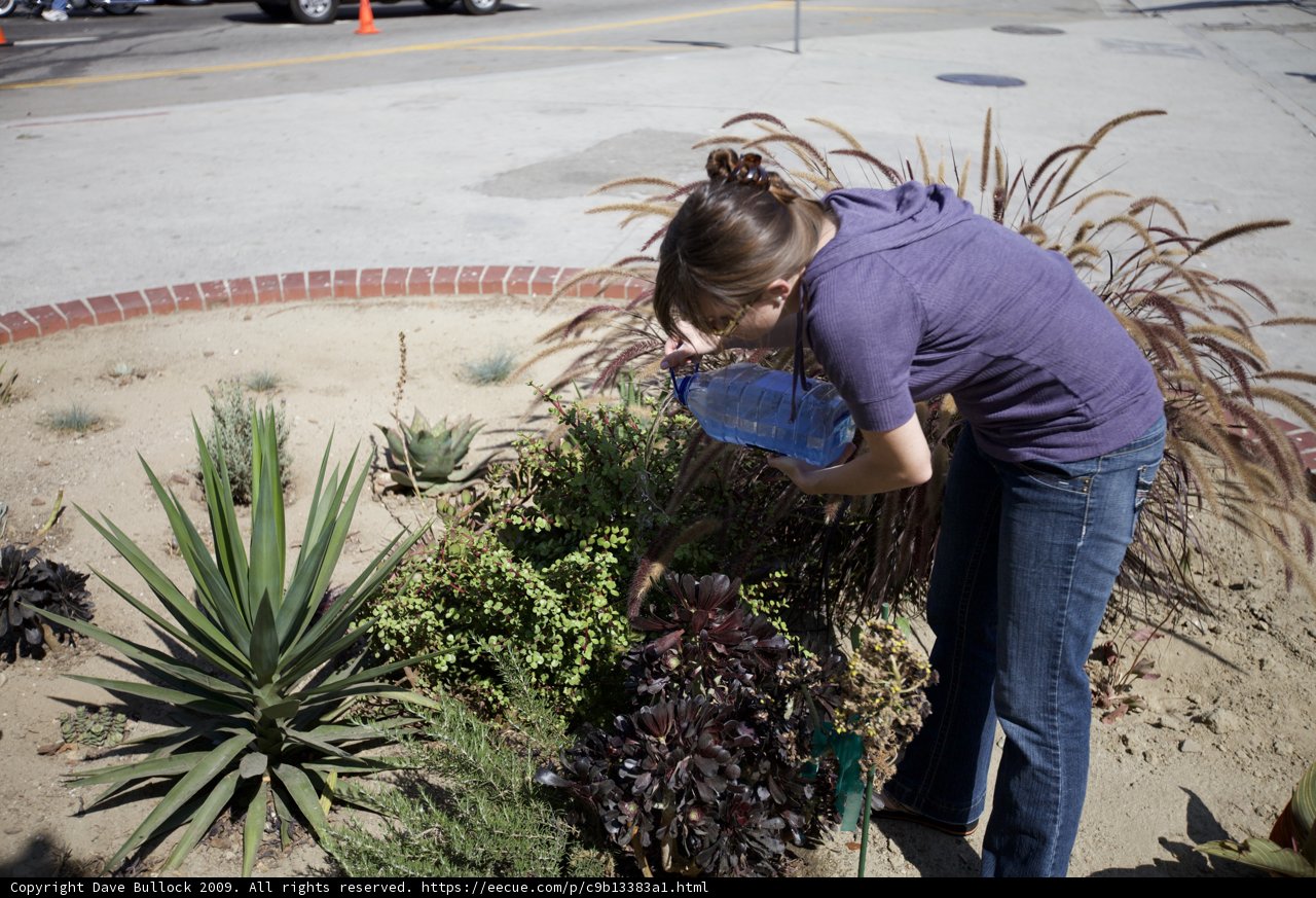 Garden Caretaker