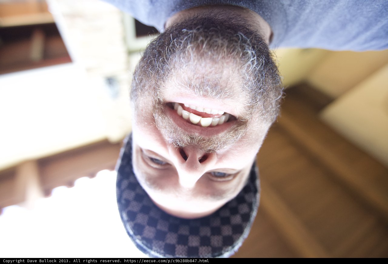 Portrait of a Happy Bearded Man